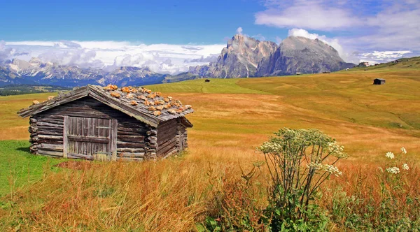 Seiser Alm Seiser Alm Südtirol — Stockfoto