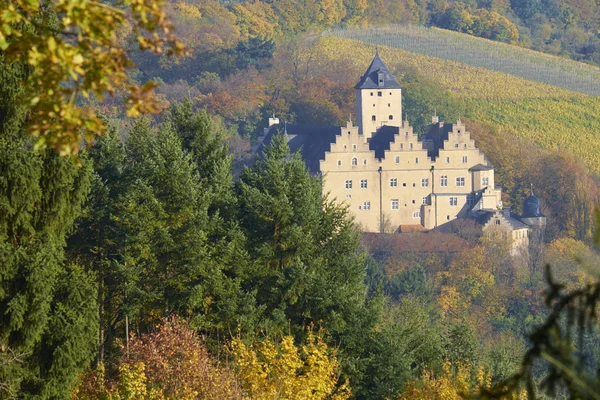 Schloss Mainberg Landkreis Schweinfurt Lagere Franken Bavaria — Stockfoto