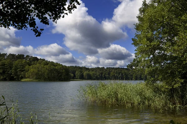 Landschap Het Dakterras — Stockfoto