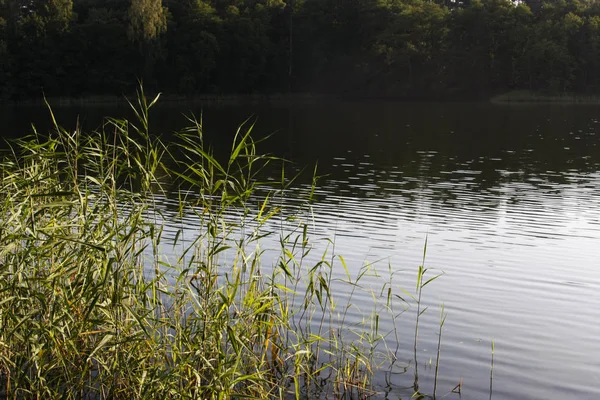 Landschap Van Prachtige Natuur — Stockfoto