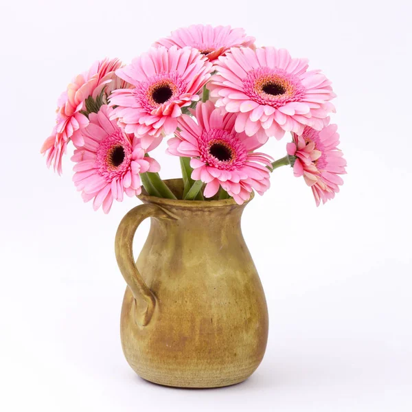 Pink Gerbera Flowers Vase — Stock Photo, Image