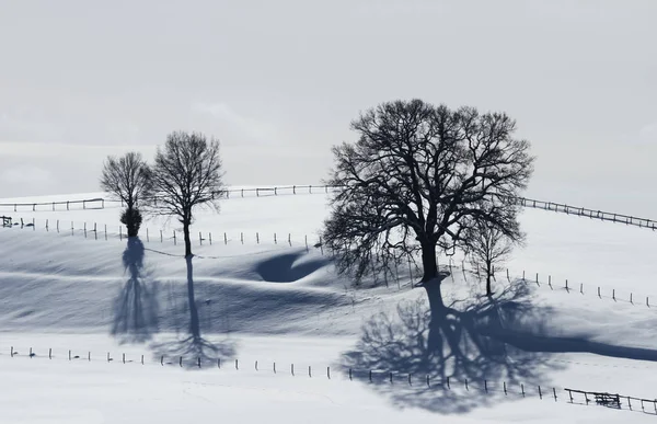 Pittoresca Vista Sul Paesaggio Invernale Innevato — Foto Stock