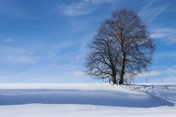 Vue Pittoresque Sur Paysage Hivernal Enneigé — Photo