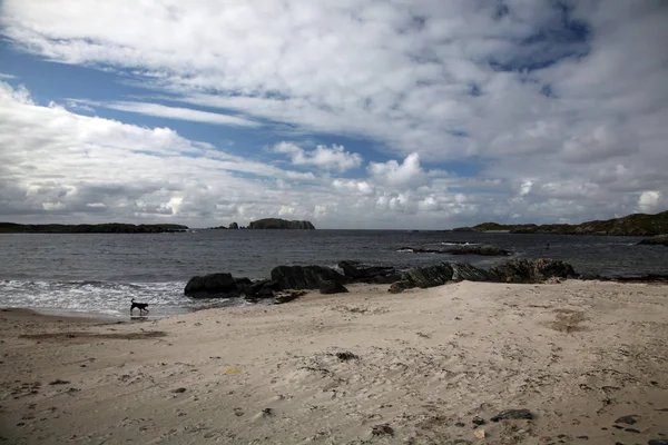 Beautiful View Seashore — Stock Photo, Image