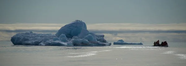 Menschen Aufblasbaren Vorbeifliegenden Vögeln Auf Eisberg — Stockfoto