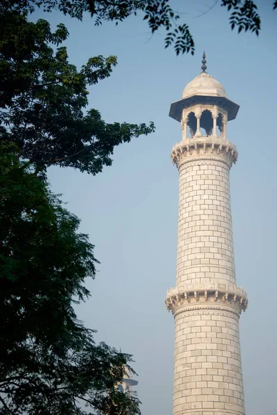 Taj Mahal Minaretes Través Árboles —  Fotos de Stock