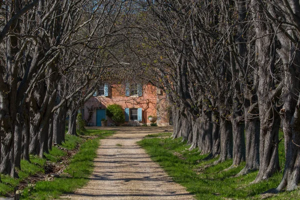 Une Entrée Maison Provence Comme Avenue — Photo