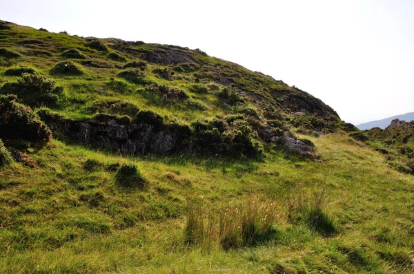 Landskap Runt Sjön Llynnau Cregennen Nära Kadair Idris — Stockfoto