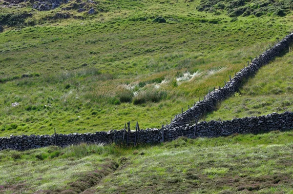 Landschaft Rund Den See Llynnau Cregennen Bei Cadair Idris — Stockfoto
