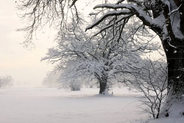 Bela Vista Paisagem Inverno — Fotografia de Stock