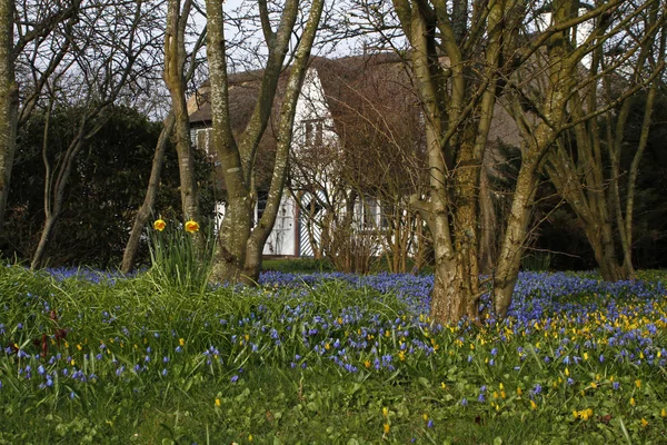 Estrela Azul Jardim Frente Keitum — Fotografia de Stock