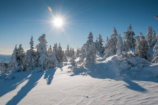 白雪覆盖的冬季风景风景如画 — 图库照片