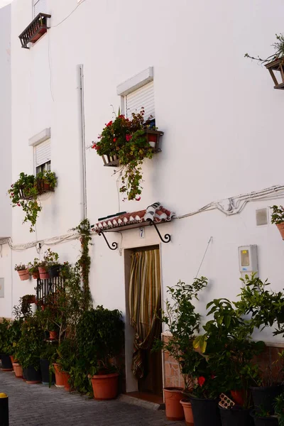 Costa Tropiskt Spanien — Stockfoto