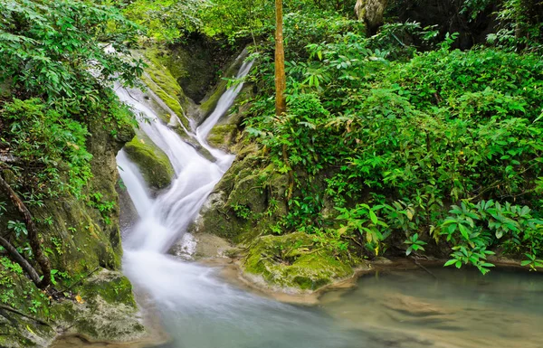 在泰国热带雨林瀑布 — 图库照片