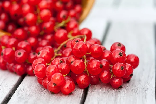 Vörös Ribizli Bogyó Savanyú Gyümölcs — Stock Fotó