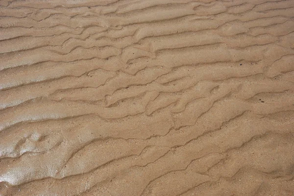 Kum Kumu Yüzeyi Çöl — Stok fotoğraf