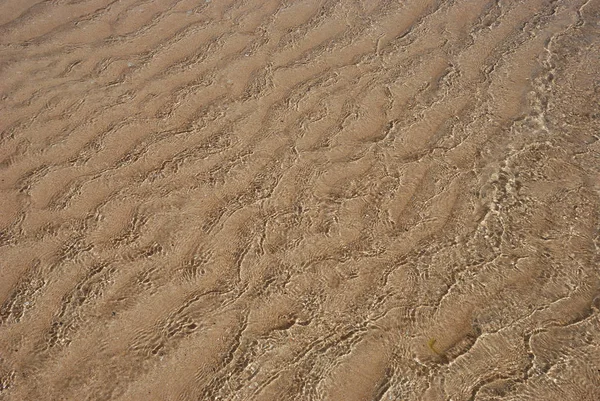 美しい海の海岸の眺め — ストック写真