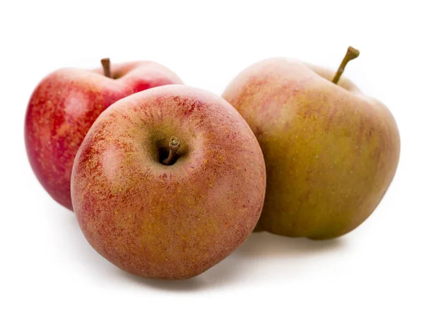 Apple Varieties Boskoop Isolated White Background — Stock Photo, Image