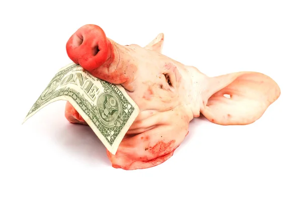 Tête Porc Avec Des Dollars Viande Avec Argent Sur Fond — Photo