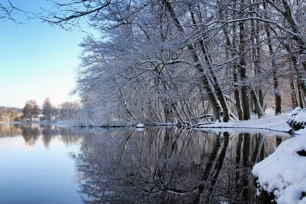 Humeur Hivernale Sur Rive Des Chats Lac Photo De Stock