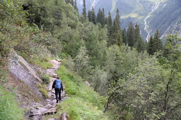 Yürüyüşçü Dağcı Dağcılık Dağcılık Dağa Tırmanma Grawa Grawawasserfall Grawawasserfall Stubai — Stok fotoğraf