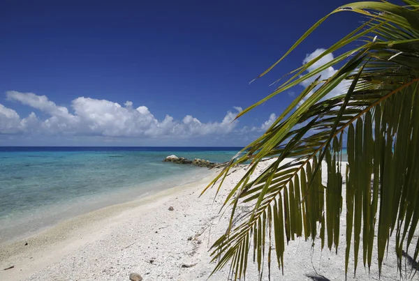 Paraíso Férias Maldivas Ilha — Fotografia de Stock