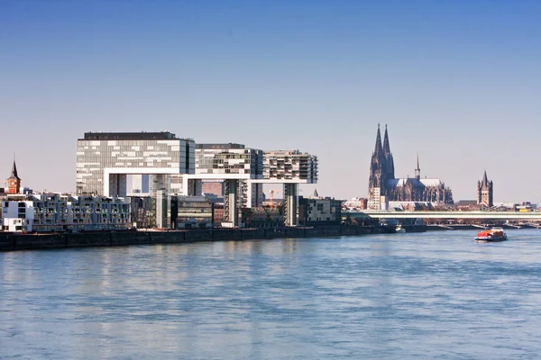 Cologne Rhein Panorama Γερανογέφυρες Σπίτια Καθεδρικό Ναό Και Πύργο Του — Φωτογραφία Αρχείου