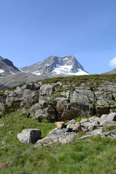 Punta Pala Stubai Stubaier Alpen Stubaital Alfa Montaña Montaña Alta —  Fotos de Stock