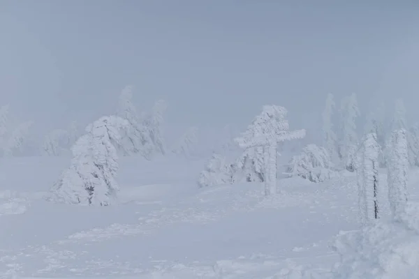 Schöne Aussicht Auf Die Winterlandschaft — Stockfoto