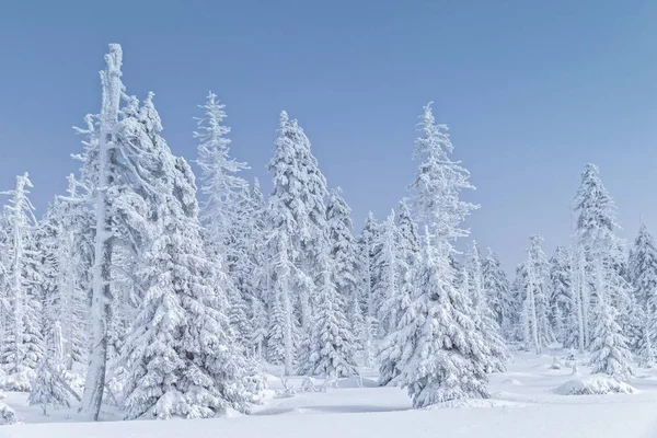 Malebný Pohled Zasněženou Zimní Krajinu — Stock fotografie