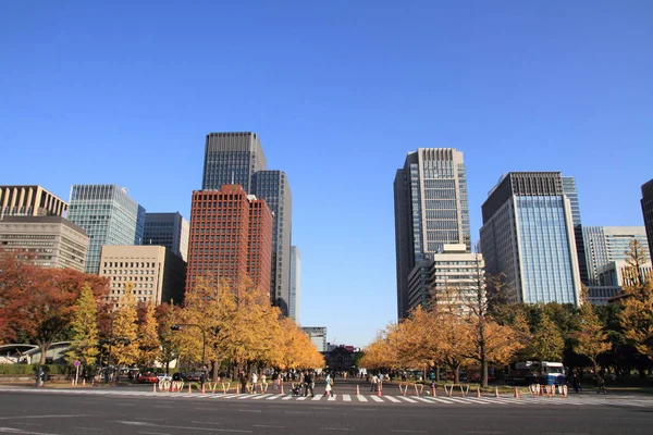 Folhas Outono Longo Avenida Miyuki Marunouchi Tóquio Japão — Fotografia de Stock