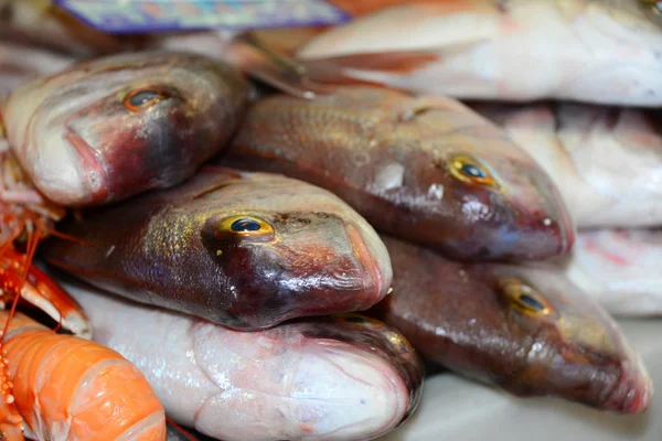 Spain Weekly Market Fresh Fish Clams — Stock Photo, Image
