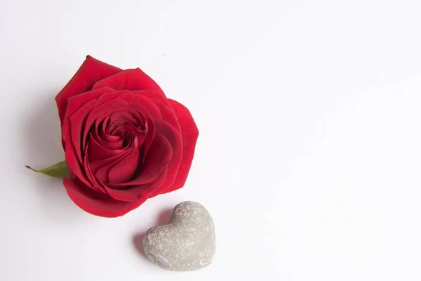 Fondo Colorido Para Tarjeta Del Día San Valentín — Foto de Stock