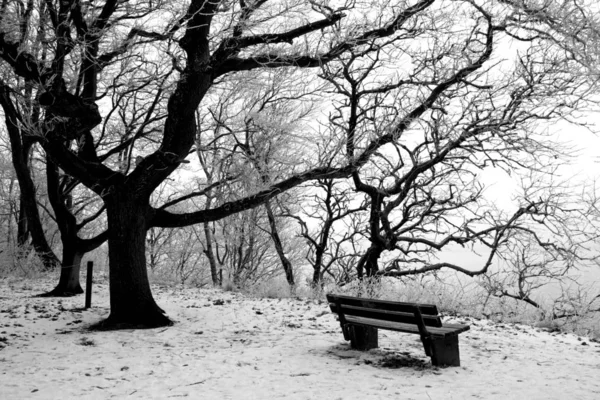 Schöne Aussicht Auf Die Natur — Stockfoto