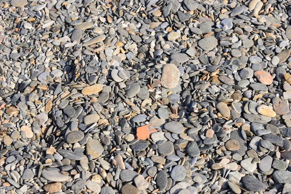 Πέτρες Δίπλα Στη Θάλασσα Στη Μεσόγειο Θάλασσα Μεγάλες Μεγάλες Μικρές — Φωτογραφία Αρχείου