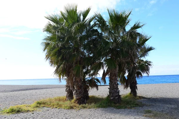 Samotna Plaża Hiszpanii — Zdjęcie stockowe