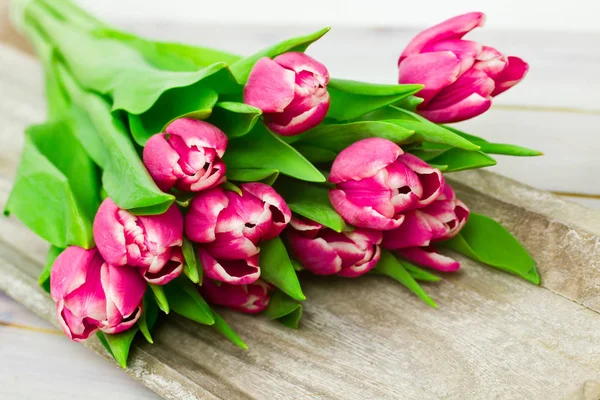 Frühling Schöne Frühling Tulpen Blumen Flora — Stockfoto