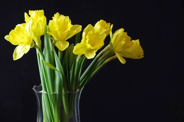 Daffodils Vase — Stock Photo, Image