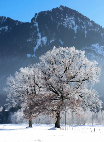 Bavaria Largest German State Land Area Comprising Roughly Fifth Total — Stock Photo, Image