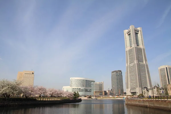 Vacker Utsikt Över Majestätisk Urban Stad — Stockfoto