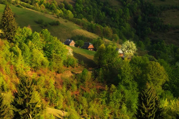 Bauernhaus Mit Blühendem Baum Rande Der Karpaten Einem Frühlingsabend — Stockfoto