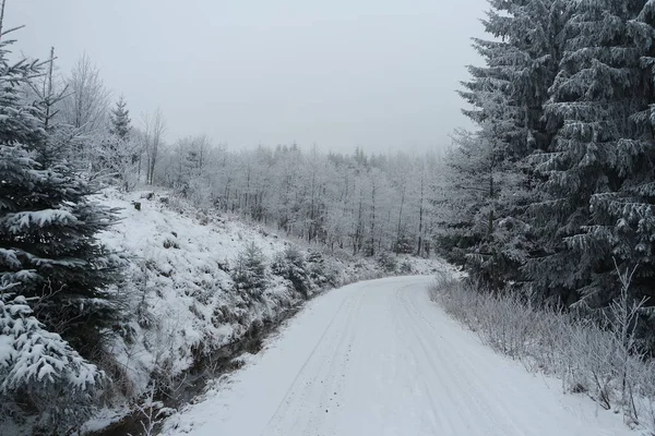 Camino Través Del Parque Nacional Harz — Foto de Stock