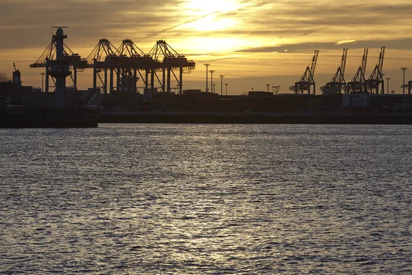 Hamburgs Hamn Med Några Containerkranar Som Silhuetter Mot Solen Vid — Stockfoto