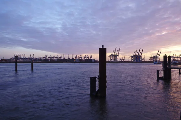 Porto Amburgo Con Alcune Gru Portacontainer Portale Come Sagome Contro — Foto Stock