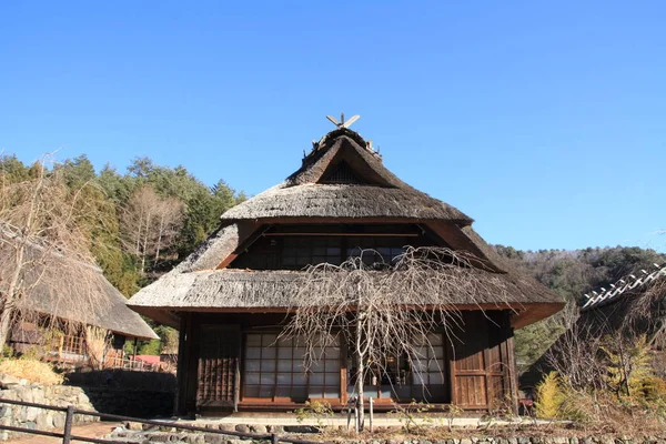 Maison Japonaise Sur Toit Chaume Saiko — Photo