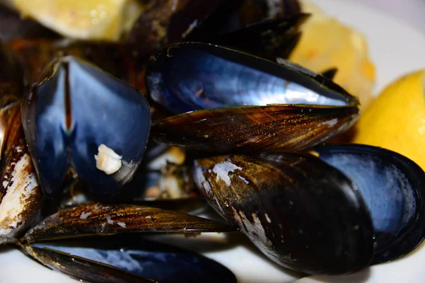 Venusmuscheln Mit Zitrone Spanien — Stockfoto