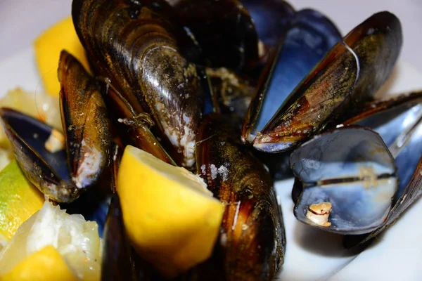 Mussels Lemon Spain — Stock Photo, Image