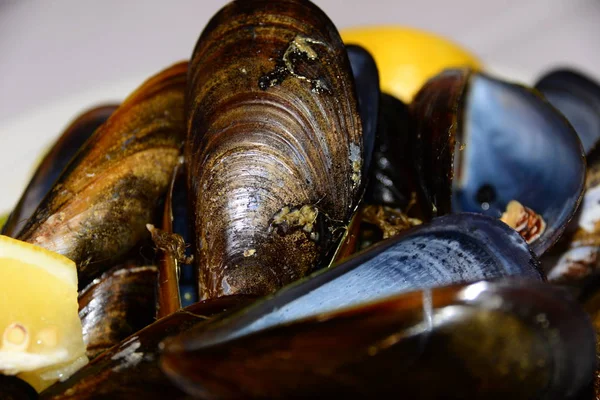 Miesmuscheln Mit Zitrone Spanien — Stockfoto