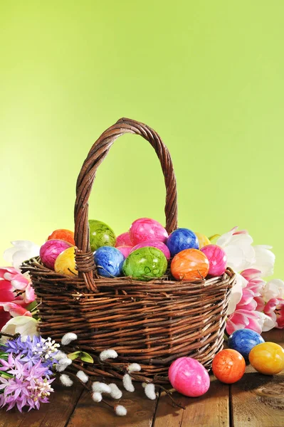 Easter Nest Colored Chicken Eggs Tulips Catkins Hyacinths Front Green — Stock Photo, Image