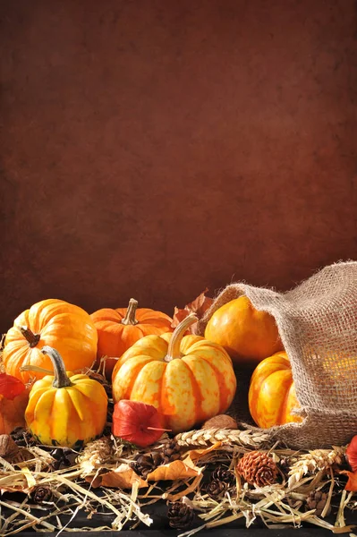 Erntedankfest Various Pumpkins Jute Sack Straw Copy Space Brown Background — Stockfoto